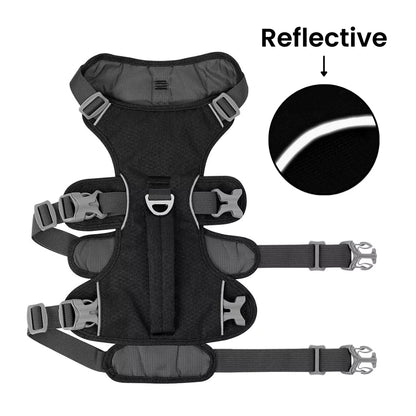 Active Dog Harness | Y Front & Clip Canine Culture 5