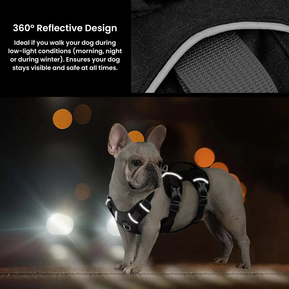 Active Dog Harness | Y Front & Clip Canine Culture 3