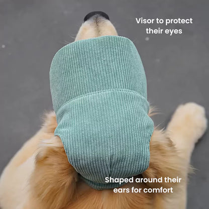 Adjustable Dog Baseball Cap Canine Culture