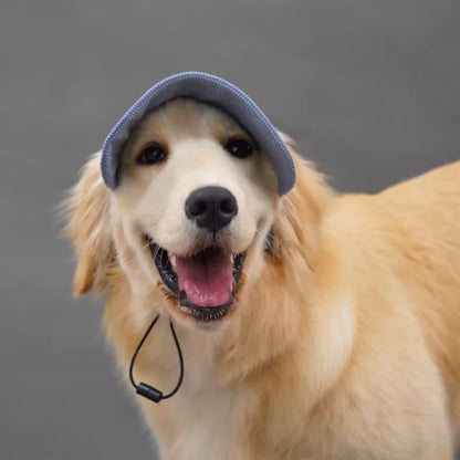 Adjustable Dog Baseball Cap Canine Culture