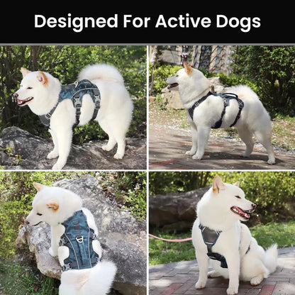Adventure No Pull Dog Harness Y Shape Front Canine Culture