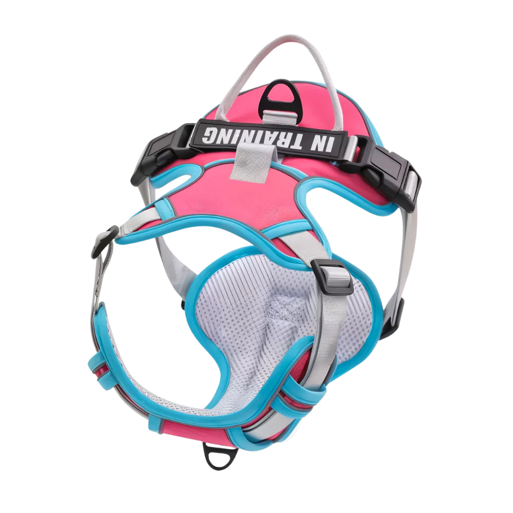 Custom Canine Dog Harness Canine Culture Y Shape Front With Front Clip ",