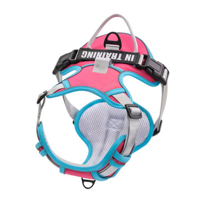 Custom Canine Dog Harness Canine Culture Y Shape Front With Front Clip ",