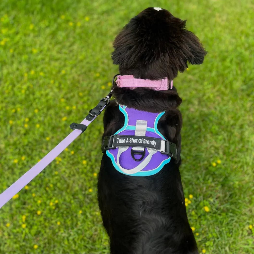 CANINE CULTURE CUSTOM DOG HARNESS