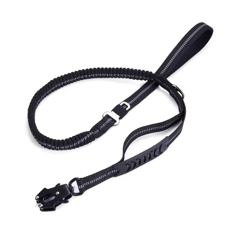 Canine Black Bungee Dog Leash With Secure Frog Clip