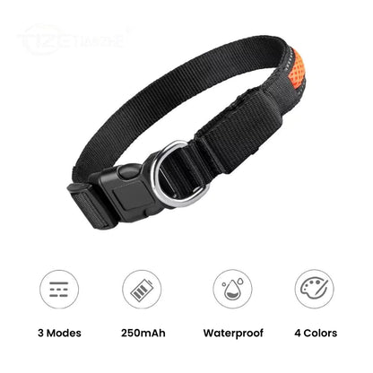 Orange AirFlow LED Dog Collar - Limited Black Edition