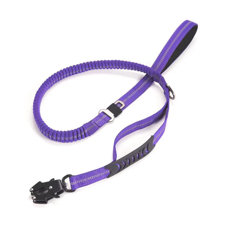 Royal Purple Bungee Dog Leash | Titanium Frog Clip