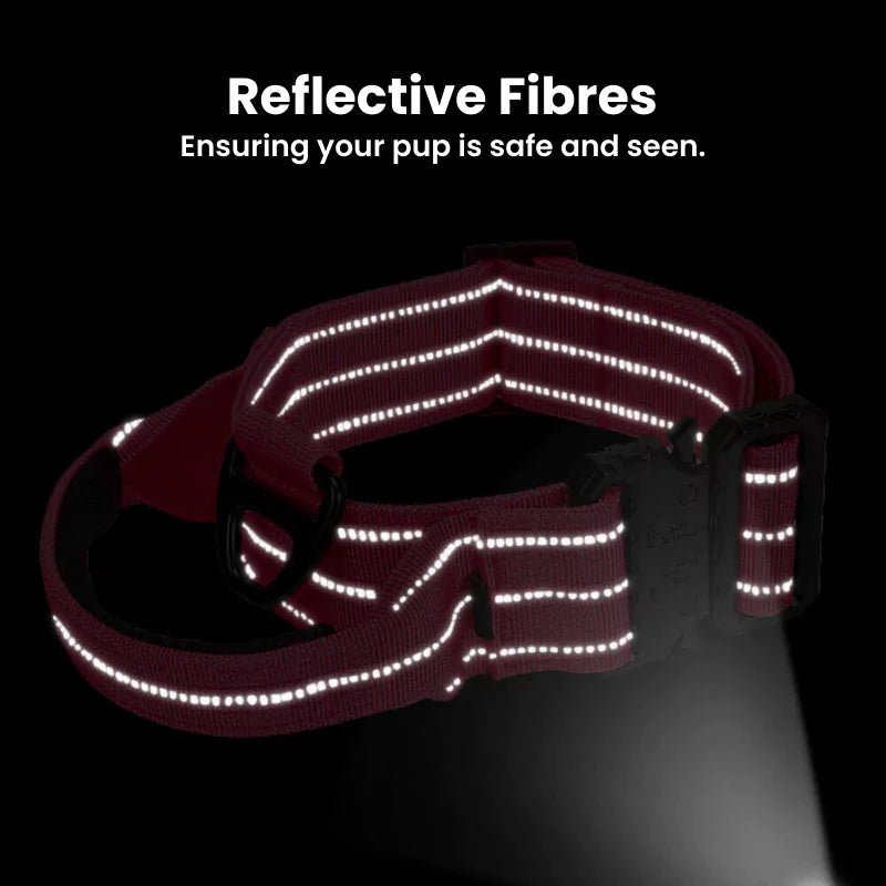 Canine Dog Collar | Reflective With Secure Titanium Clip
