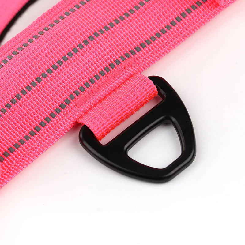 Canine Dog Collar | Reflective With Secure Titanium Clip