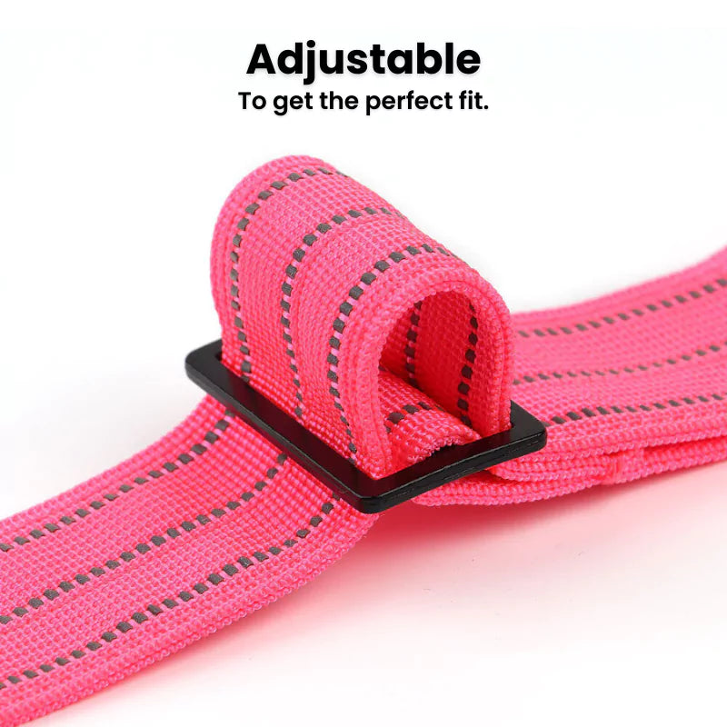 Panther Pink Canine Dog Collar | Reflective