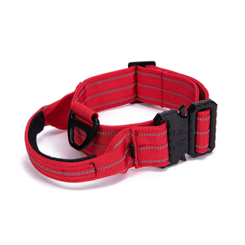 Canine Dog Collar Reflective With Secure Titanium Clip