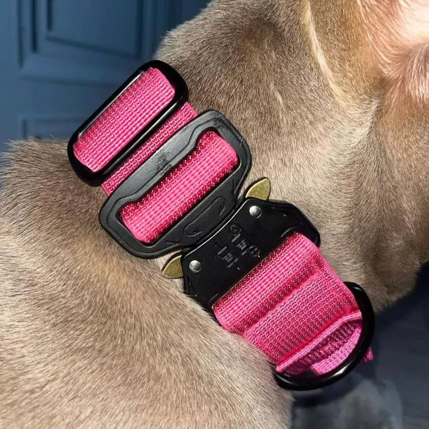 Canine Black Dog Collar V2 Canine Culture