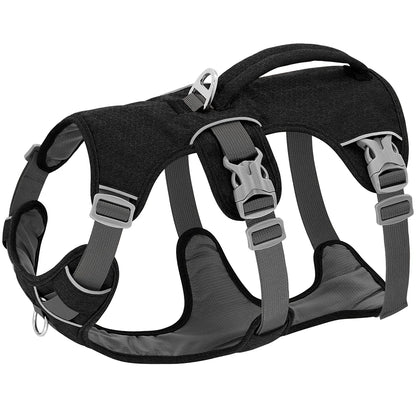 Canine Black Active Dog Harness | Y Front & Clip Canine Culture