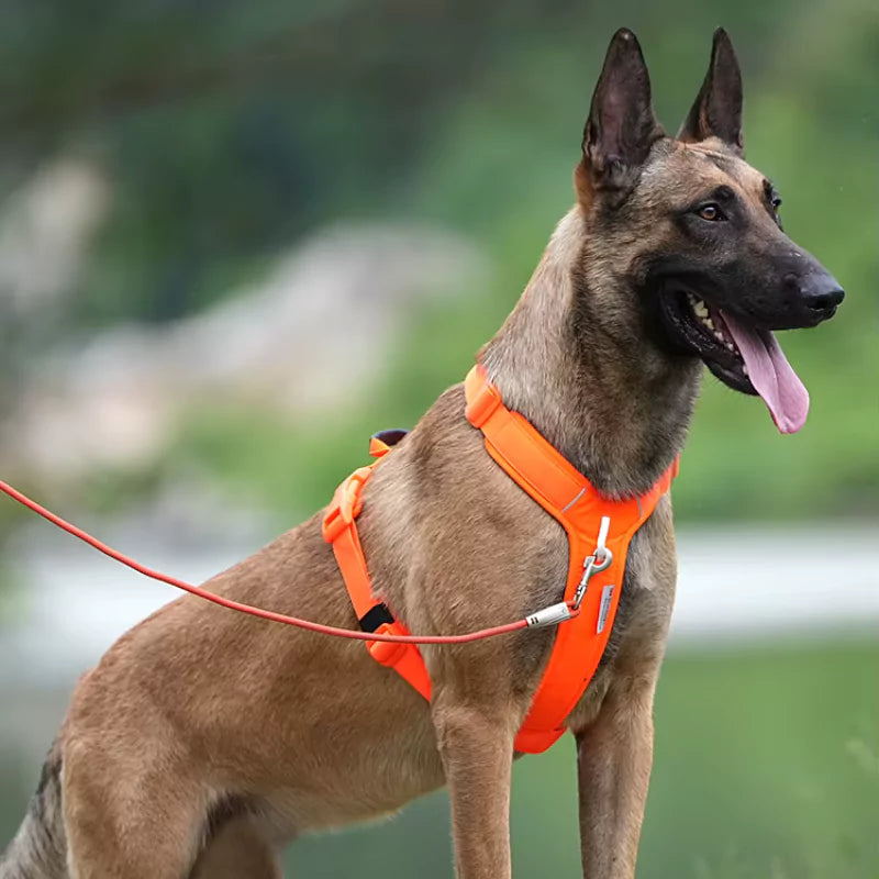 Canine Culture Cordura Dog Harness Y Front Clip No Pull