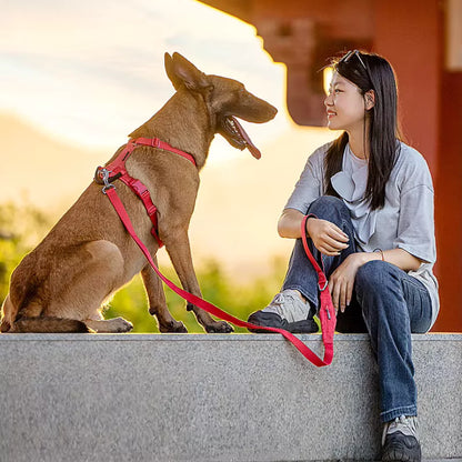 Canine Culture Cordura Dog Harness Y Front Clip No Pull
