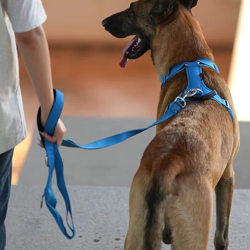 Canine Culture Cordura Dog Harness Y Front Clip No Pull