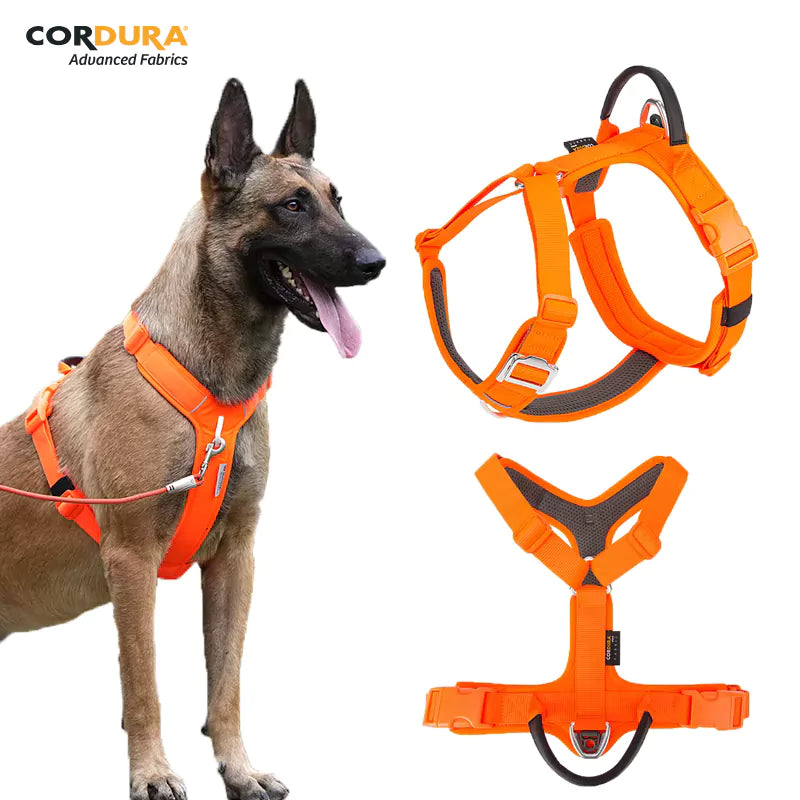 Canine Culture Cordura Dog Harness Y Front Clip No Pull