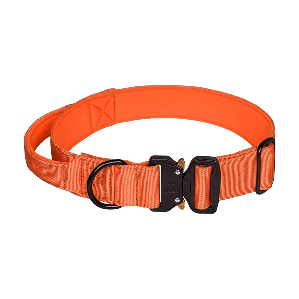 Orange Dog Collar V2 Canine Culture