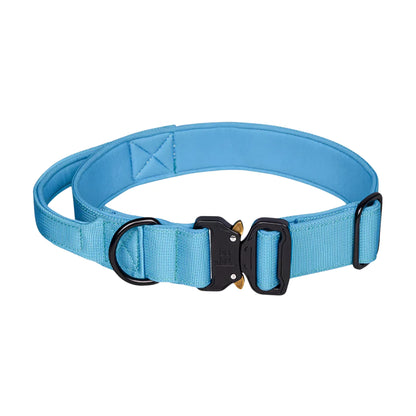 Light Blue Dog Collar V2 Canine Culture