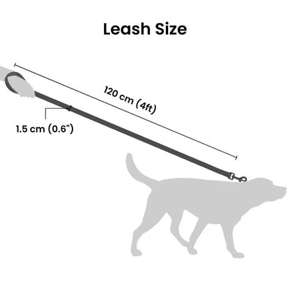 Classic Riveted Dog Leash