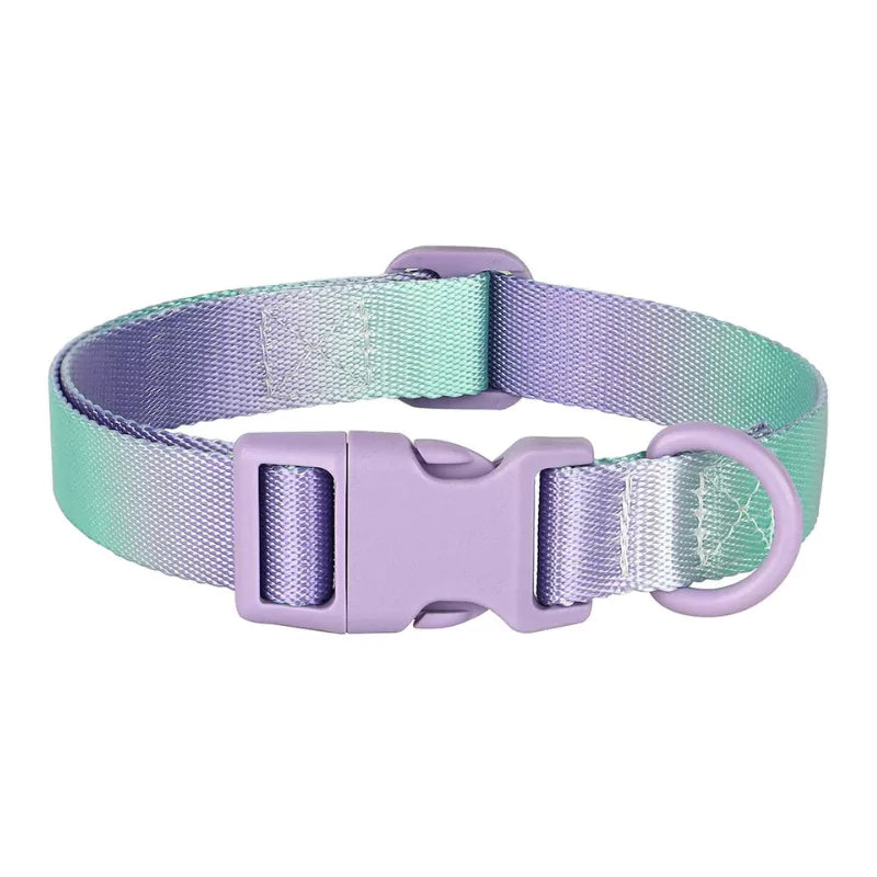 Purple Colorful Gradient Dog Collar