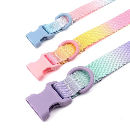 Pink Colorful Gradient Dog Collar
