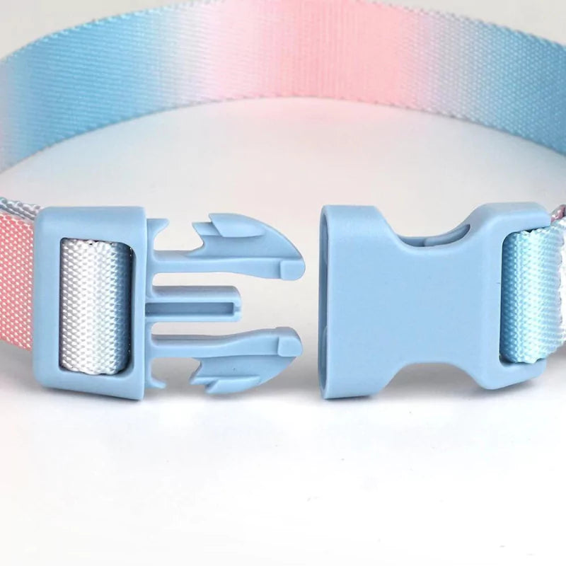 Blue Colorful Gradient Dog Collar
