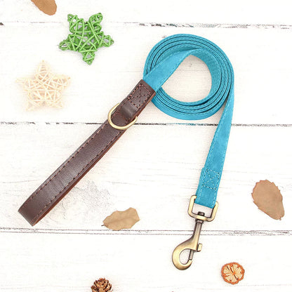 Blue dog leash with brown leather end and gold clip on a white wooden surface with decorative elements.