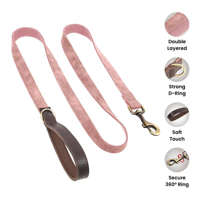 Custom Artisan Dog Collar Lead Personalised Canine Culture