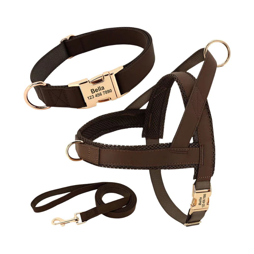 Brown Custom Belgravia Dog Gear Set Harness Collar Leash Canine Culture