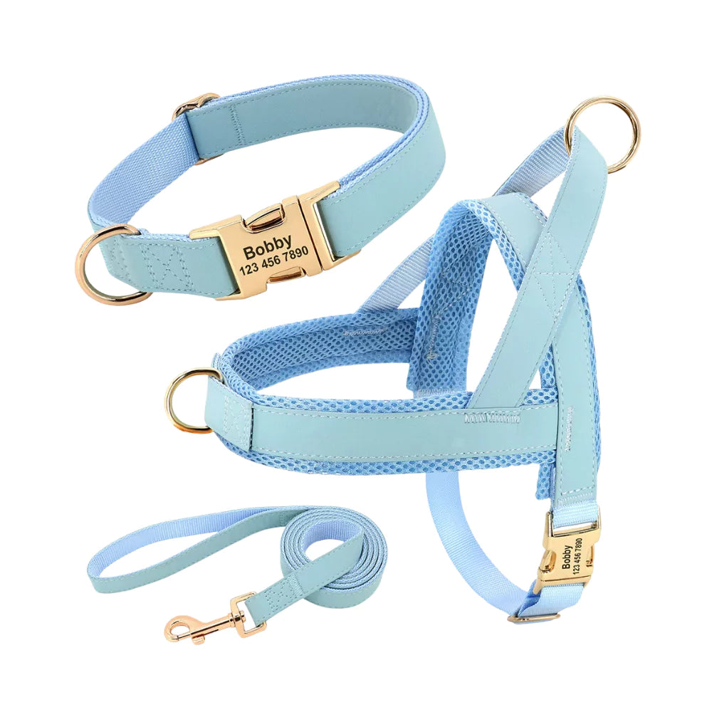 Blue Custom Belgravia Dog Gear Set Harness Collar Leash Canine Culture