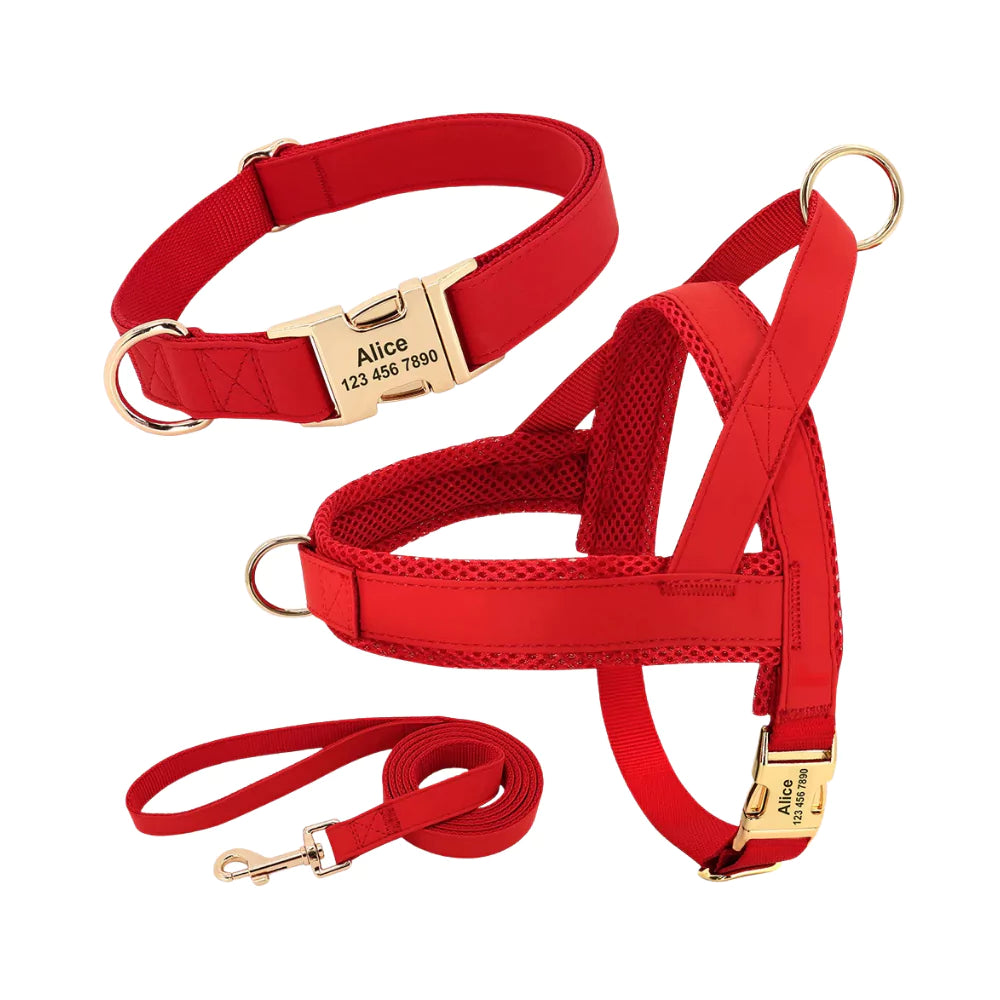 Red Custom Belgravia Dog Gear Set Harness Collar Leash Canine Culture