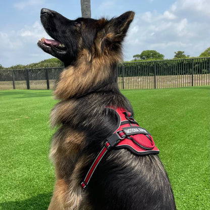 Custom Canine Dog Harness Canine Culture Y Shape Front