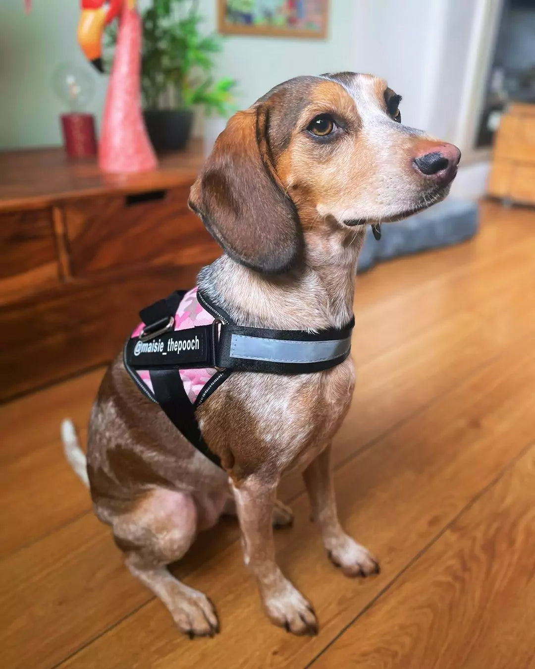 Light Pink Personalized Dog Harness | Reflective
