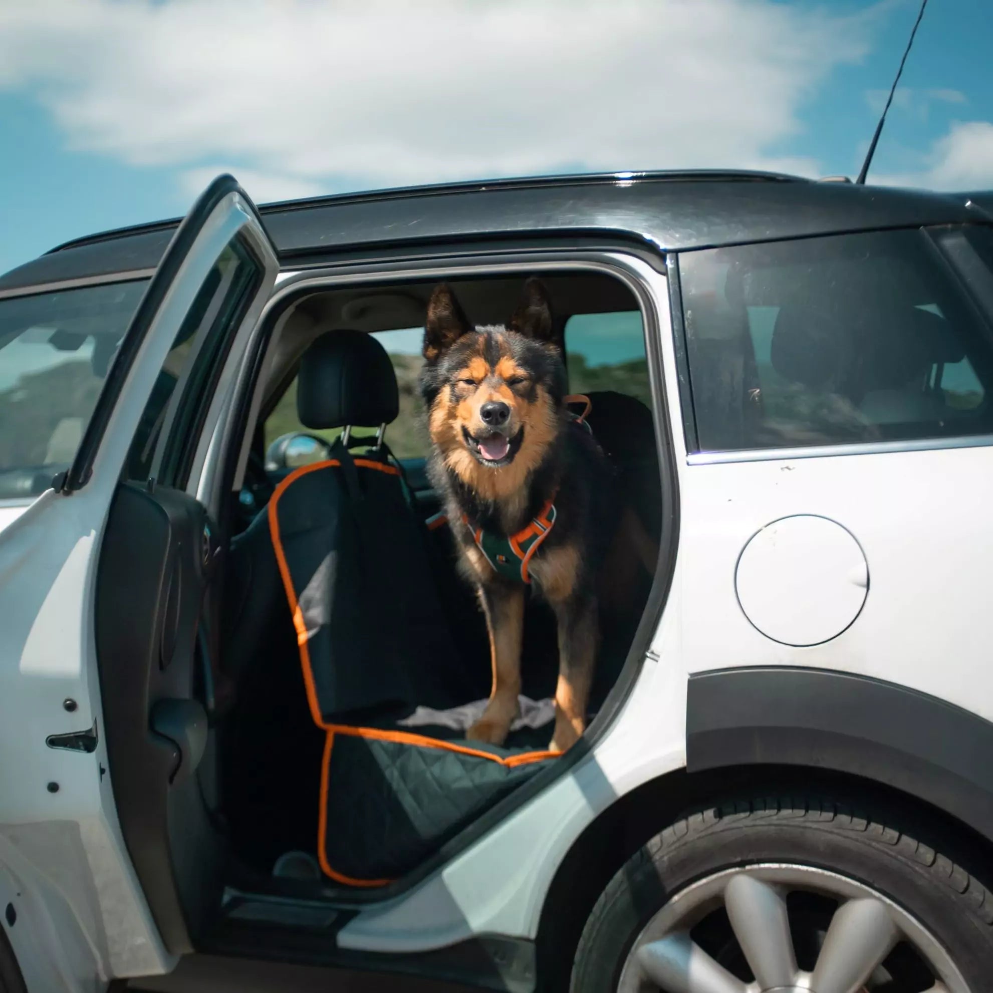 DOG CAR SEAR COVERS CANINE CULTURE 