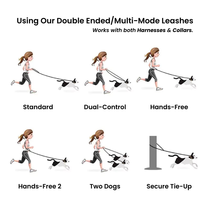 Red Double Ended Multi-Mode Dog Leash