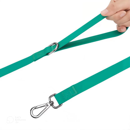 Everyday Dog Leash & Collar Dog Walking PVC Canine Culture