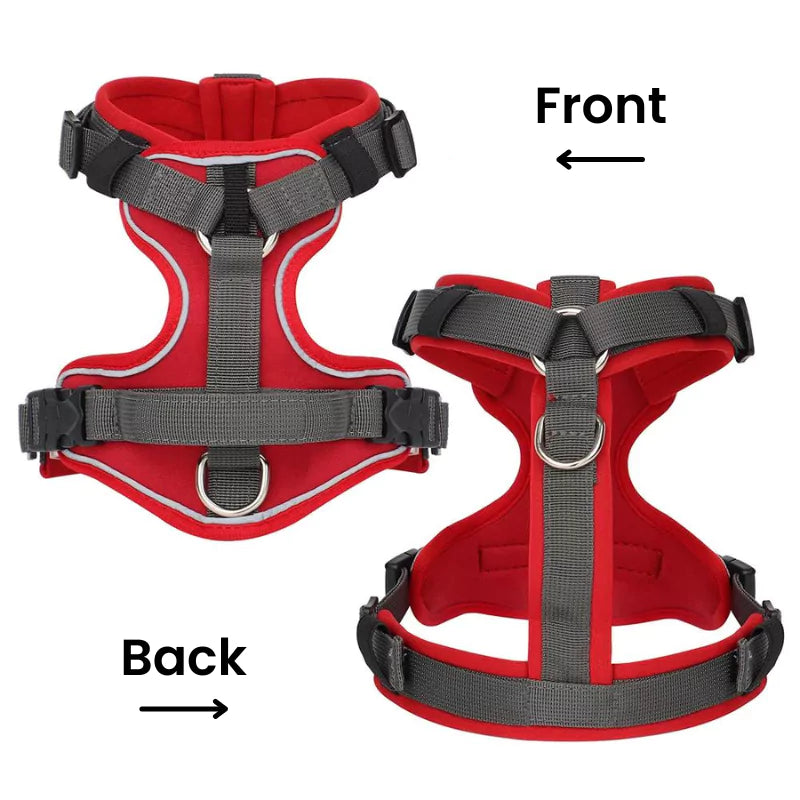 Crimson Red Explorer Dog Harness | Y Front