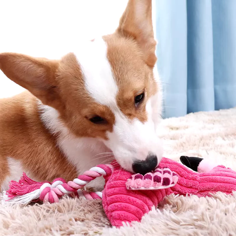 FLAMINGO DOG TUG TOY CANINE CULTURE