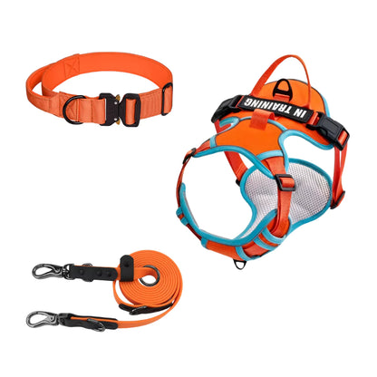 Orange Canine Dog Gear Set