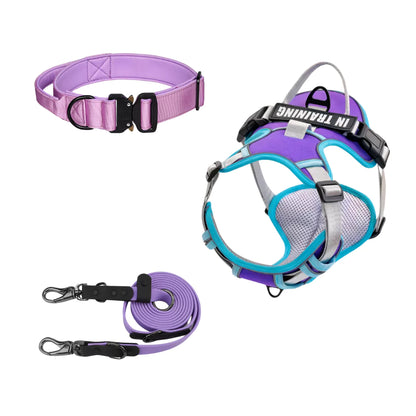 Purple Canine Dog Gear Set