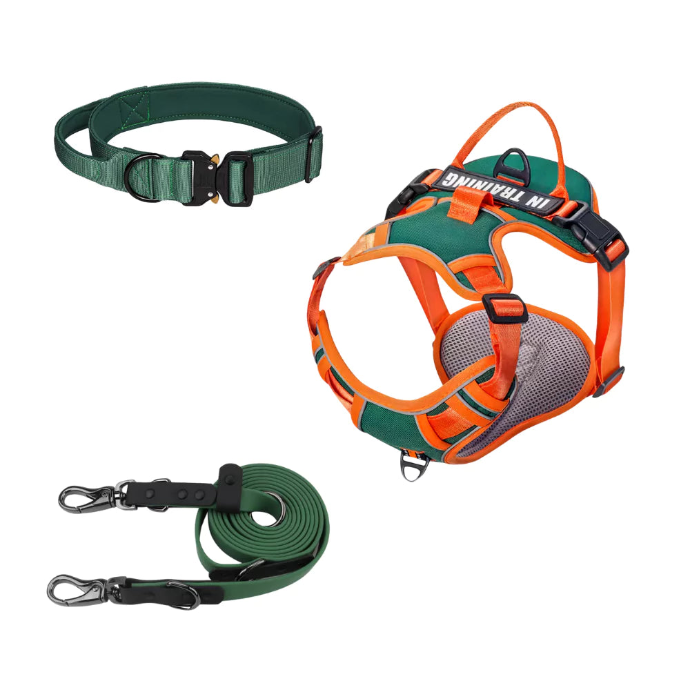 Green Canine Dog Gear Set