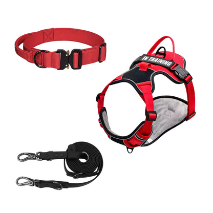 Red Canine Dog Gear Set