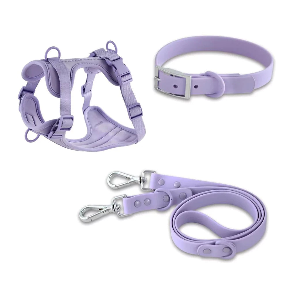 purple urban dog collar, harness and leash set canine culture