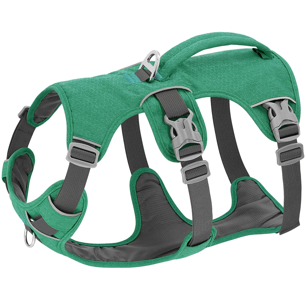 Green Active Dog Harness | Y Front & Clip Canine Culture