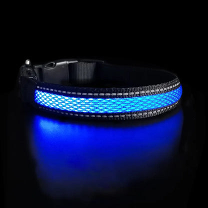 Blue AirFlow LED Dog Collar - Limited Black Edition