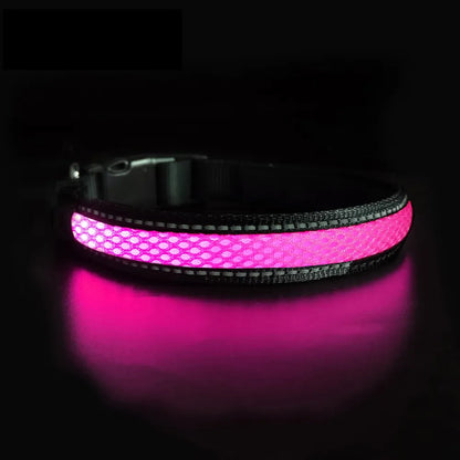 Pink Neon AirFlow LED Dog Collar - Limited Black Edition