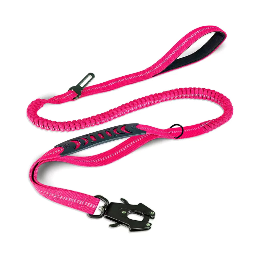 dog leash canine culture