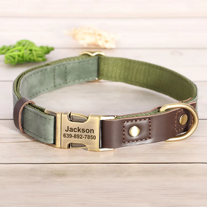 Green Custom ID Huntsman Dog Collar Canine Culture