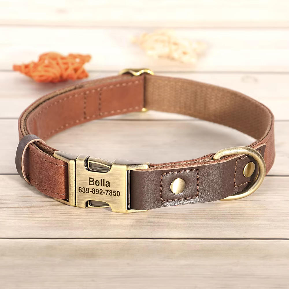 Brown Custom ID Huntsman Dog Collar Canine Culture